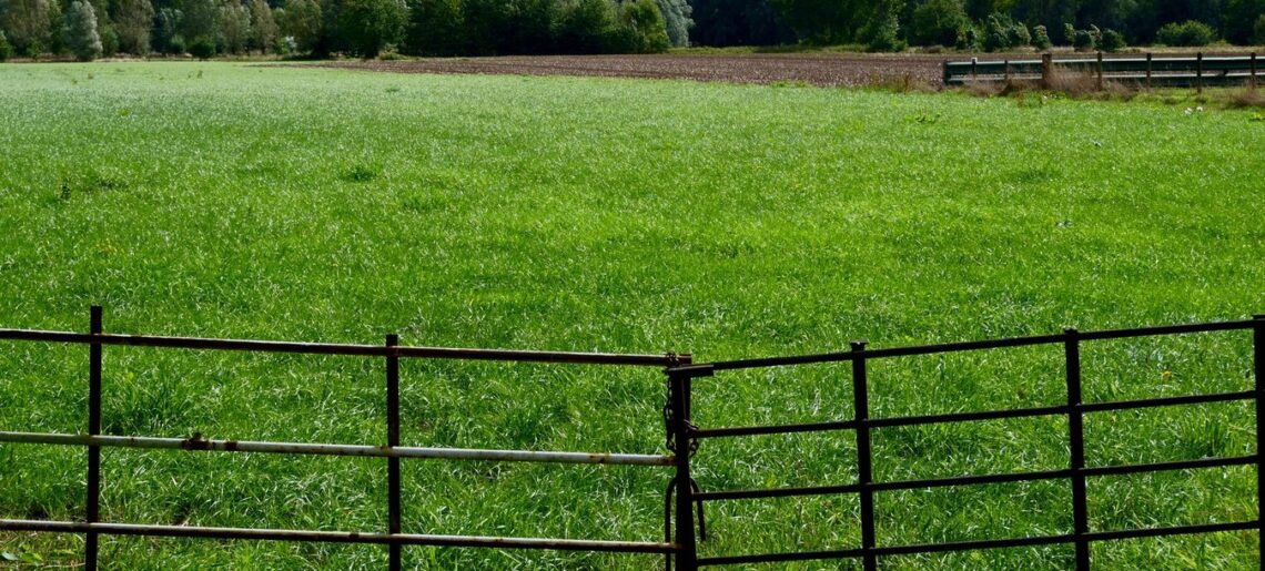 Een mooie en functionele schutting kiezen voor je tuin