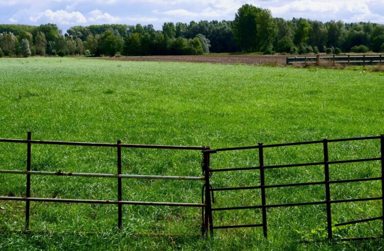 Een mooie en functionele schutting kiezen voor je tuin
