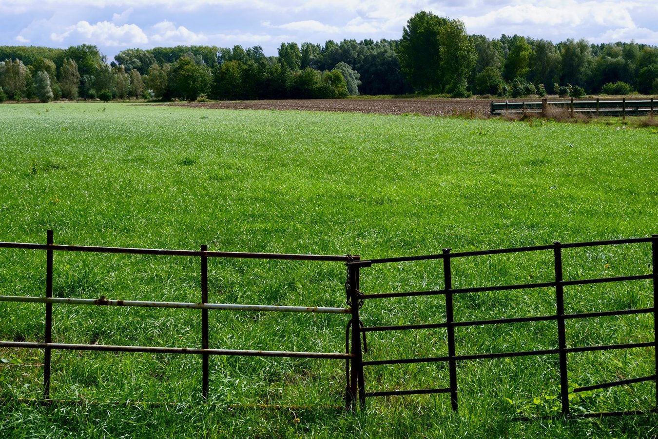 Een mooie en functionele schutting kiezen voor je tuin